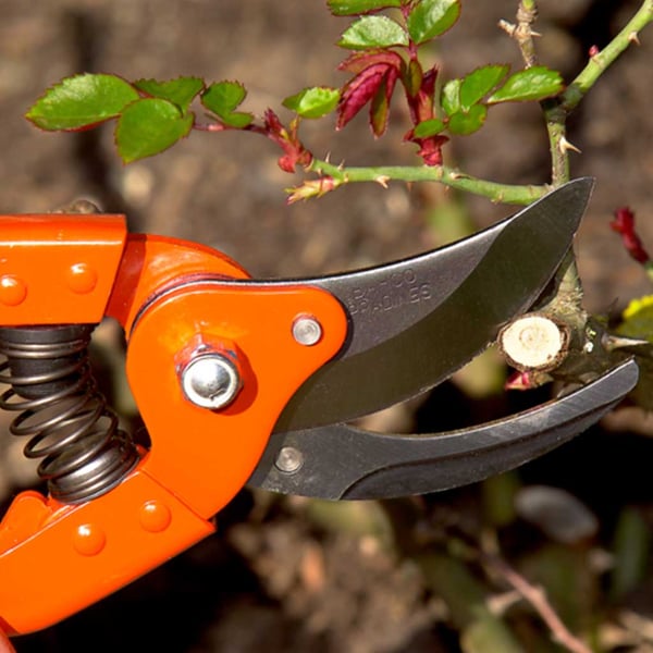 FORBICI DA POTA BAHCO 'P110' 23 cm - BAHCO