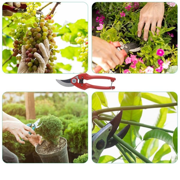 FORBICI DA POTA BAHCO 'P126' 19 cm - BAHCO