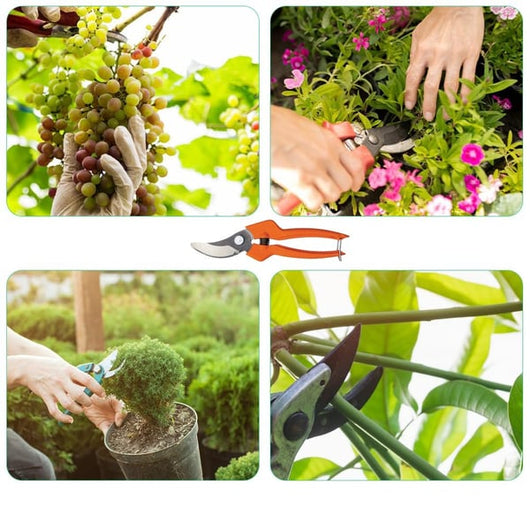 FORBICI DA POTA 'PG-12-F' cm 21  - BAHCO