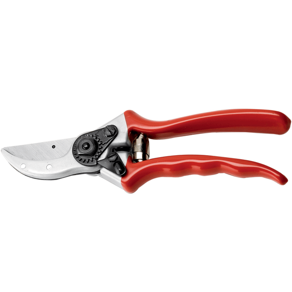 FORBICI DA POTA AUSONIA 21 cm AUSONIA