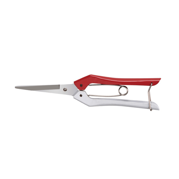 FORBICI COGLIFRUTTA IDEAL STAR 20 cm - IDEAL STAR