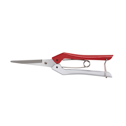 FORBICI COGLIFRUTTA IDEAL STAR 20 cm - IDEAL STAR