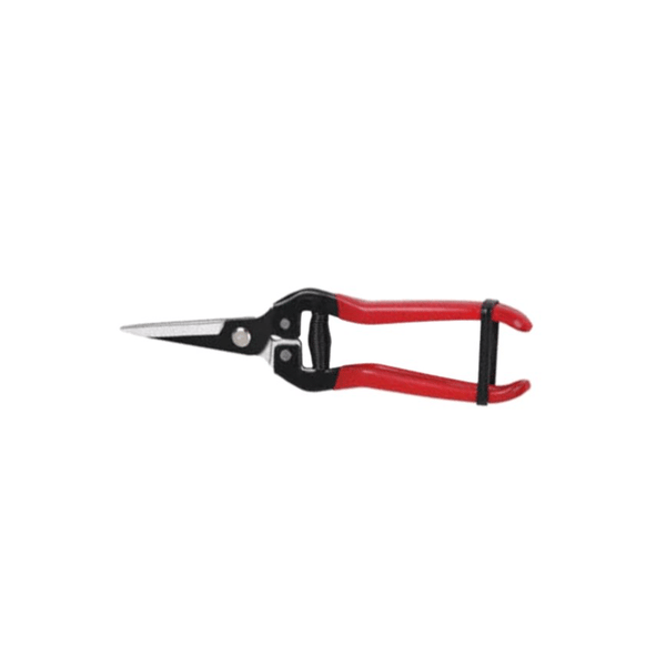 FORBICI COGLIFRUTTA E ORTAGGI IDEAL STAR 19 cm - IDEAL STAR