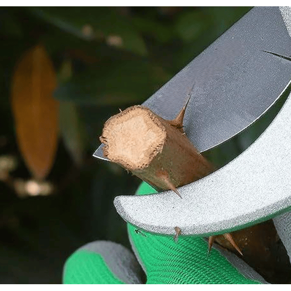 FORBICI DA POTA IDEAL STAR A CRICCO 20 cm - IDEAL STAR