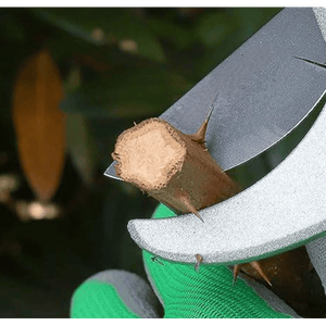 FORBICI DA POTA IDEAL STAR A CRICCO 20 cm - IDEAL STAR