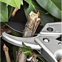 FORBICI DA POTA IDEAL STAR A CRICCO 20 cm - IDEAL STAR