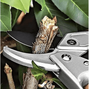 FORBICI DA POTA IDEAL STAR A CRICCO 20 cm - IDEAL STAR