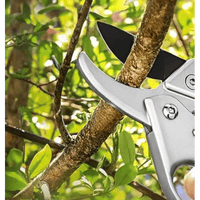 FORBICI DA POTA IDEAL STAR A CRICCO 20 cm - IDEAL STAR