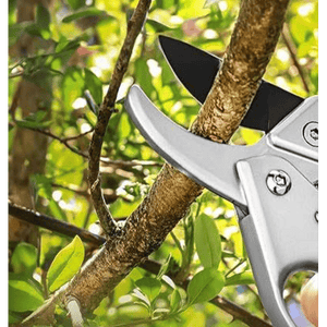 FORBICI DA POTA IDEAL STAR A CRICCO 20 cm - IDEAL STAR