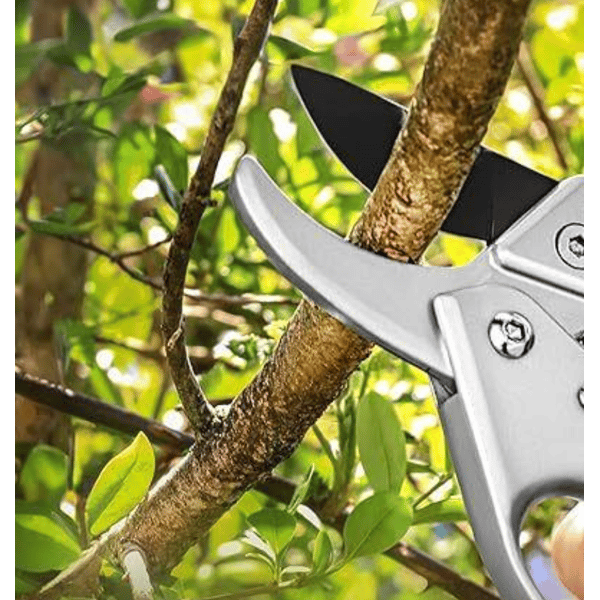 FORBICI DA POTA IDEAL STAR A CRICCO 20 cm - IDEAL STAR