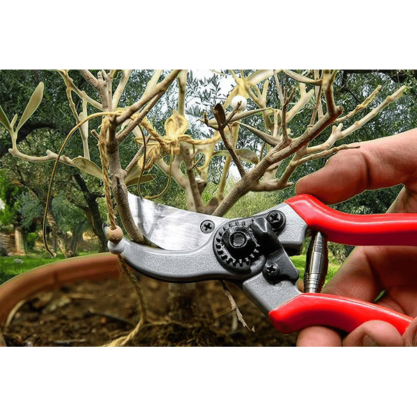 FORBICI DA POTATURA IDEAL STAR 20 cm - IDEAL STAR