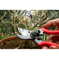 FORBICI DA POTATURA IDEAL STAR 20 cm - IDEAL STAR