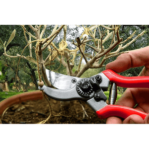 FORBICI DA POTATURA IDEAL STAR 20 cm - IDEAL STAR