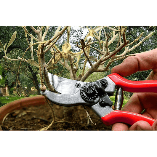FORBICI DA POTATURA IDEAL STAR 20 cm - IDEAL STAR