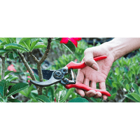 FORBICI DA POTATURA IDEAL STAR 20 cm - IDEAL STAR