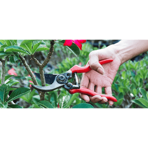 FORBICI DA POTATURA IDEAL STAR 20 cm - IDEAL STAR