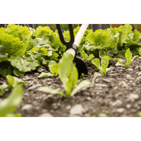 ZAPPA BIDENTE IDEAL STAR 400 gr - cod. manico 4313002 - IDEAL STAR