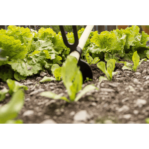 ZAPPA BIDENTE IDEAL STAR 400 gr - cod. manico 4313002 - IDEAL STAR