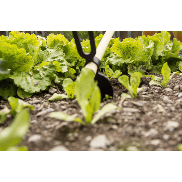 ZAPPA BIDENTE IDEAL STAR 400 gr - cod. manico 4313002 - IDEAL STAR