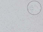 TOVAGLIATO PVC GLITTERATO ARGENTO- - cm.140h, rotolo da mt.30 - 30 mt