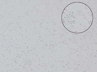 TOVAGLIATO PVC GLITTERATO ARGENTO- - cm.140h, rotolo da mt.30 - 30 mt