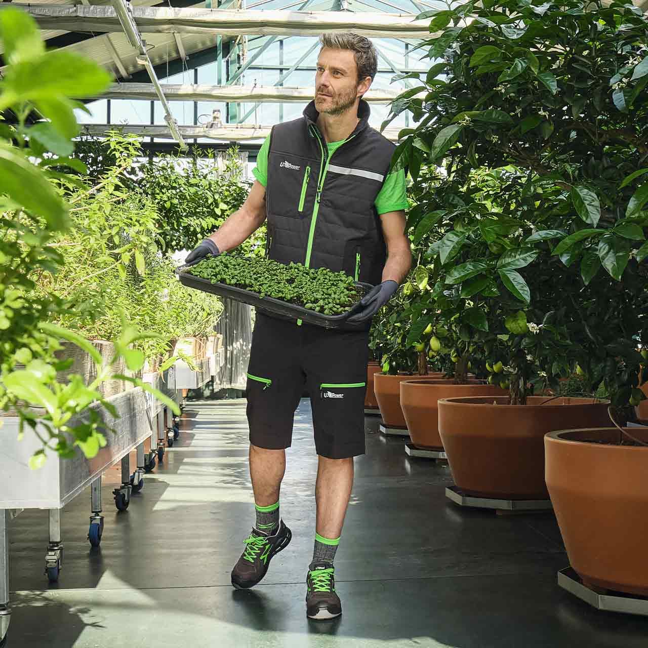 U-POWER SCARPE POINT S1P N.44- 1,0 pz