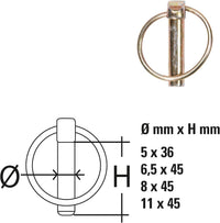 COPIGLIE A SCATTO ASSORTITE IN CONFEZIONE DA 50 PEZZI