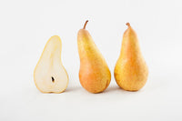 PERO CONFERENCE - Pianta di pero Conference in vaso Frutta Frutto