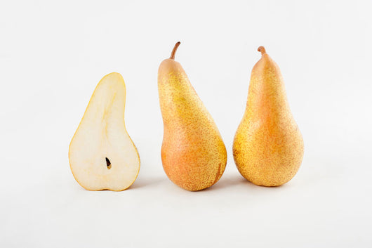 PERO CONFERENCE - Pianta di pero Conference in vaso Frutta Frutto