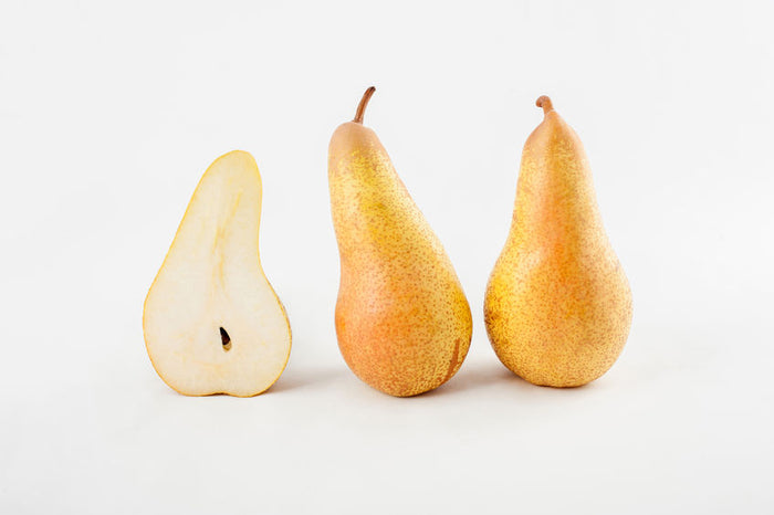 PERO CONFERENCE - Pianta di pero Conference in vaso Frutta Frutto