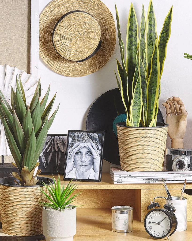 Pianta artificiale di serpente in vaso verde e Nero Materiale sintetico 63 cm Accessorio decorativo per interni