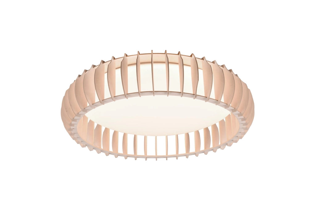 Plafoniera da Interno a LED in Plastica Bianco