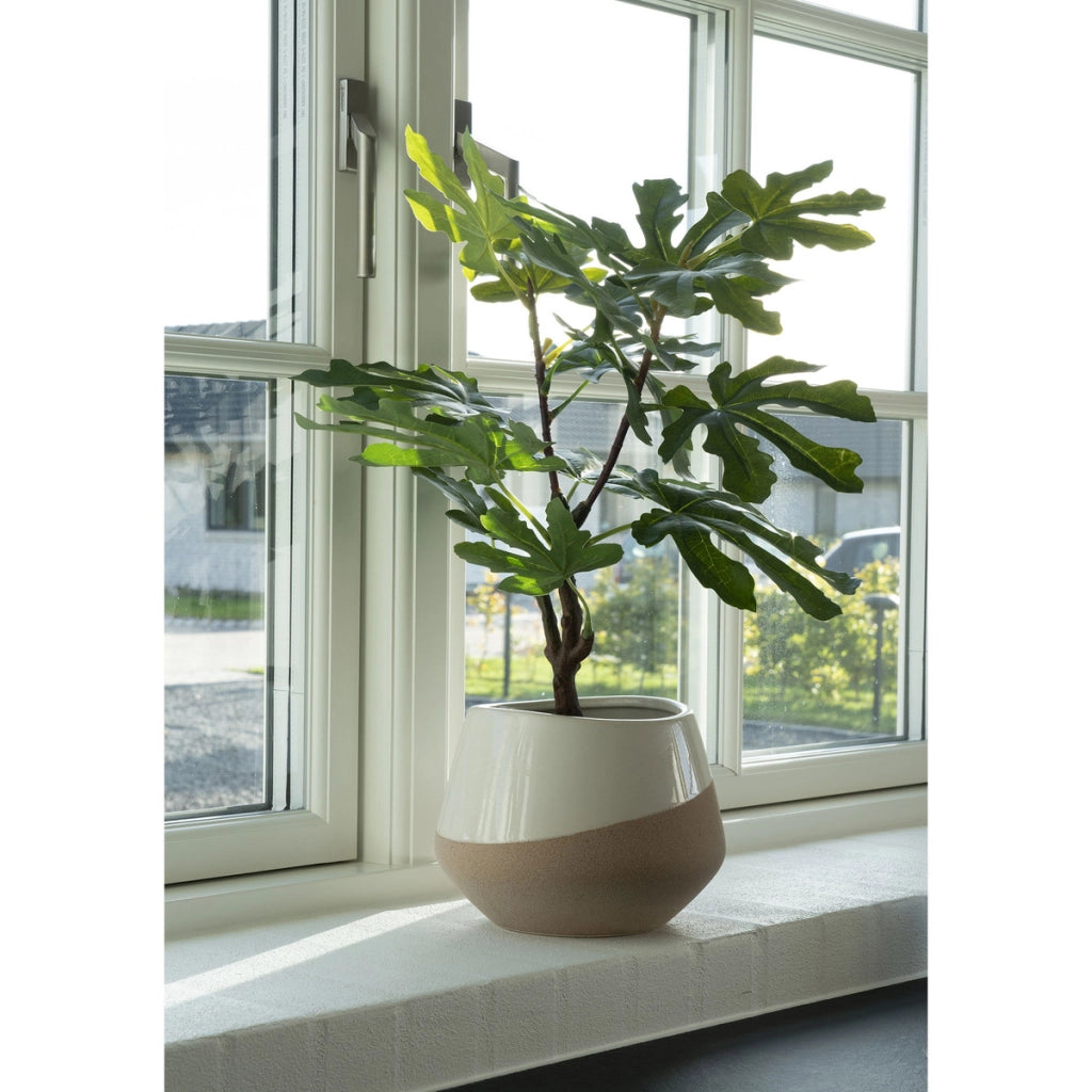 Pianta Artificiale Ficus, Verde, Polietilene, 40x40x60 cm