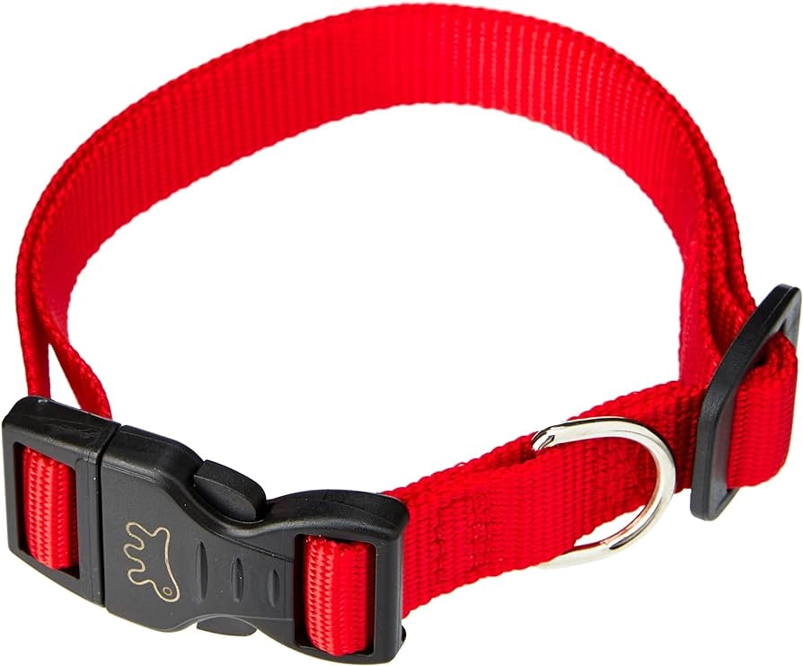 COLLARE PER CANI 'CLUB C' 20 mm x 36÷56 cm - FERPLAST
