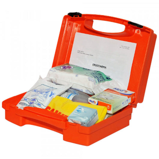 CASSETTA PRONTO SOCCORSO ALLEGATO 2 29,5x20,5x10 cm
