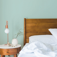 PLASTICA ADESIVA 'TINTA UNITA' H. cm 45x15 mt