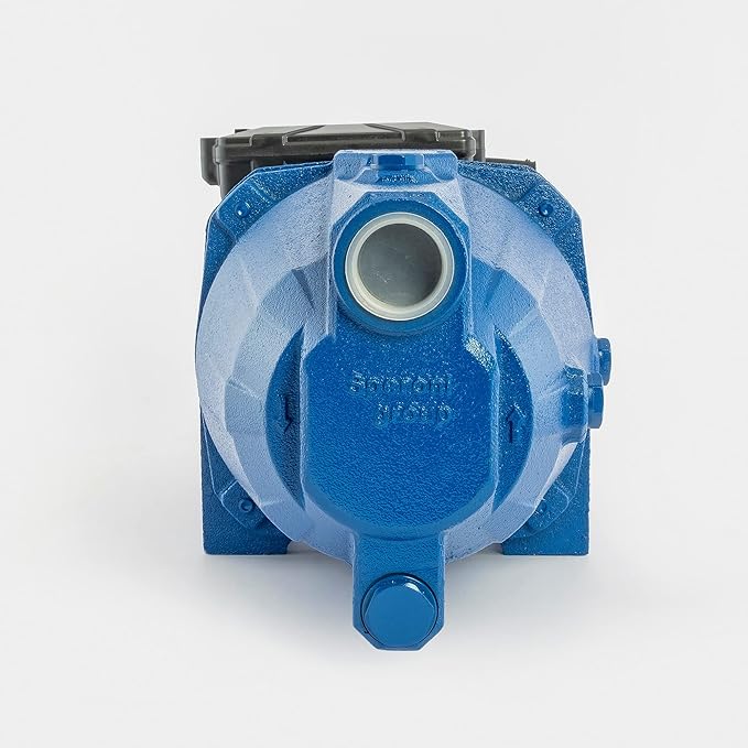 ELETTROPOMPA AUTODESCANTE IN GHISA 'JET 100' HP 1,0 - IDEAL STAR