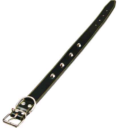 COLLARE PER CANI FODERATO CON BORCHIE 20x440 mm