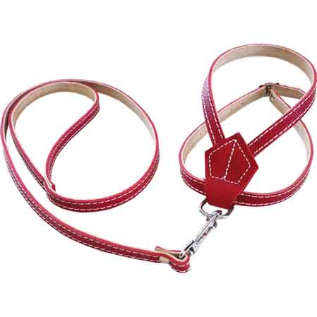 PARURE PER CANI 10x500 mm