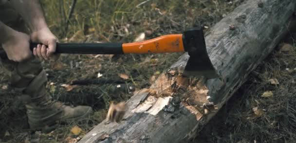 PICOZZINO M. FIBRA KENDO 550 gr - KENDO