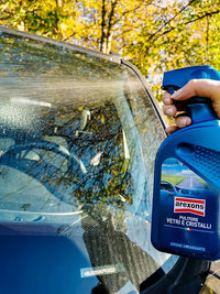 PULITORE PER VETRI E CRISTALLI AREXONS 500 ml - AREXONS