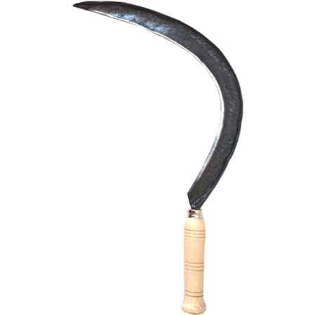 FALCIOLA LISCIA TIPO NAPOLI n° 2/0 - MADE IN ITALY