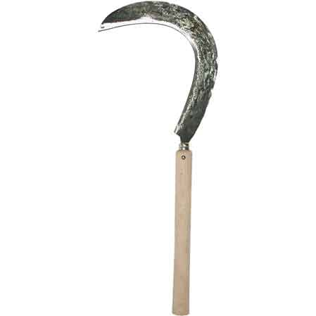 FALCIOLA PER BIETOLE 50 cm - MADE IN ITALY