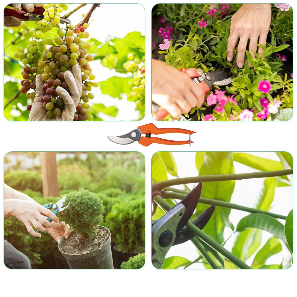 FORBICI DA POTA BAHCO 'PG-12F' 21 cm - BAHCO