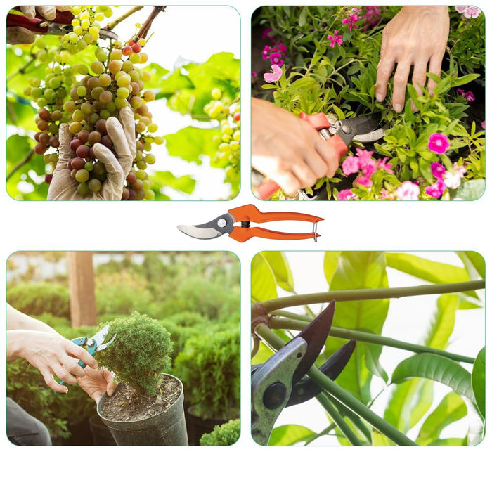 FORBICI DA POTA BAHCO 'PG-12F' 21 cm - BAHCO