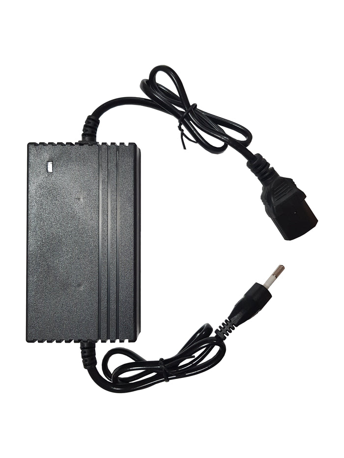 CARICABATTERIA DI RICAMBIO PER POMPA A SPALLA IDEAL STAR 8 LT - - IDEAL STAR