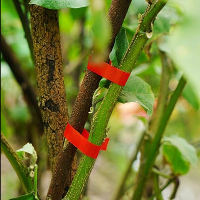 NASTRO PER PINZA LEGATRICE mm 11x26 mt - colore verde - 10 pezzi