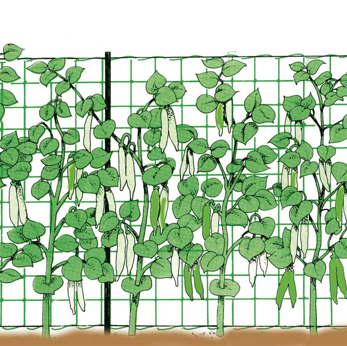 RETE PER RAMPICANTI 1,5x1000 mt - colore bianco - TENAX