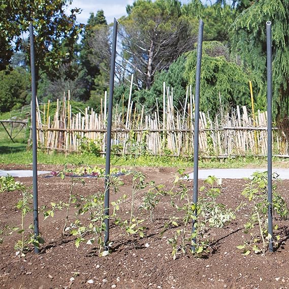 SOSTEGNO IN PLASTICA PER ORTAGGI h1,50 mt - Ø 23 mm - TENAX