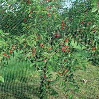 RETE ANTIUCCELLI IDEAL STAR 4x10 mt - colore verde - IDEAL STAR